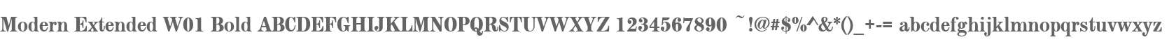 Modern Extended W01 Bold