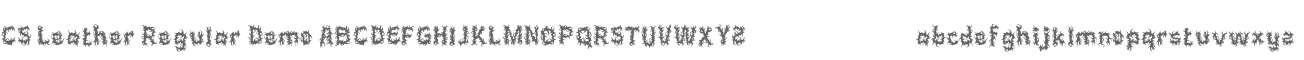 CS Leather Demo