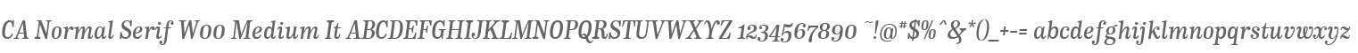 CA Normal Serif W00 Medium It