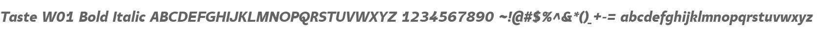 Taste W01 Bold Italic