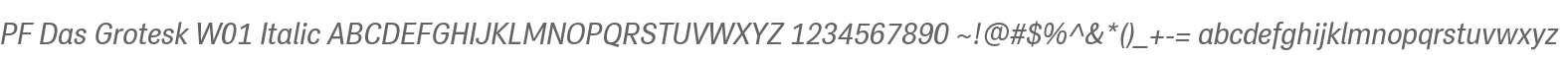 PF Das Grotesk W01 Italic