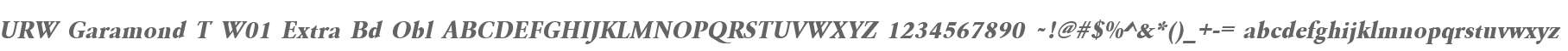 URW Garamond T W01 Extra Bd Obl
