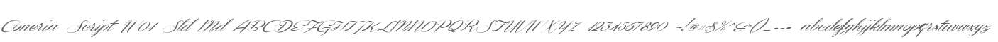 Coneria Script W01 Sld Md