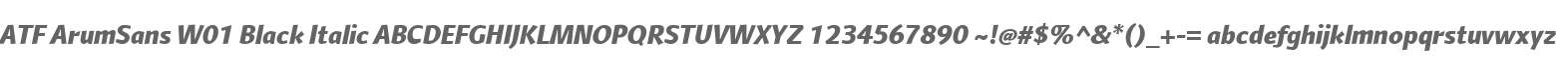 ATF ArumSans W01 Black Italic