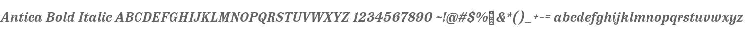 Antica Bold Italic