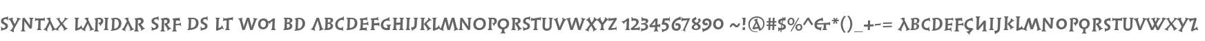 Syntax Lapidar Srf DS LT W01 Bd