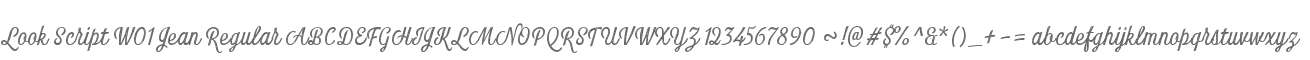 Look Script W01 Jean Regular