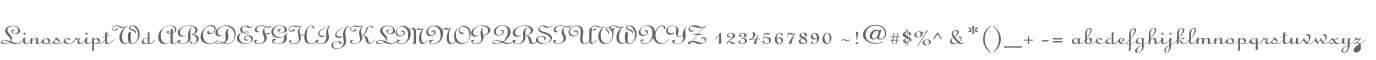 Linoscript Wd