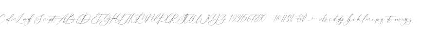Calm Lovely Script