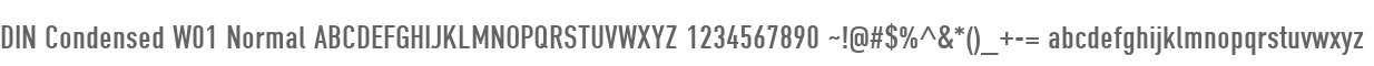 DIN Condensed W01 Normal