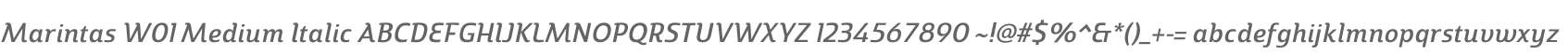 Marintas W01 Medium Italic