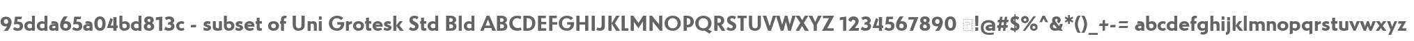 95dda65a04bd813c - subset of Uni Grotesk Std Bld