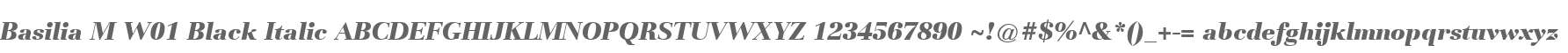 Basilia M W01 Black Italic