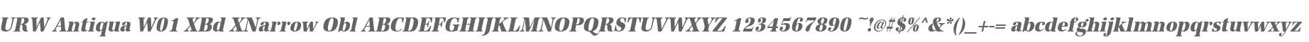 URW Antiqua W01 XBd XNarrow Obl