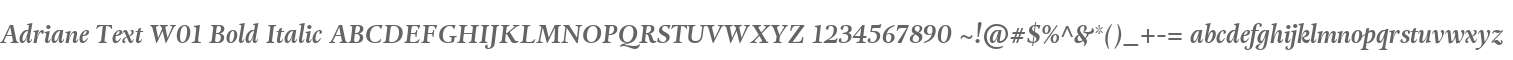 Adriane Text W01 Bold Italic