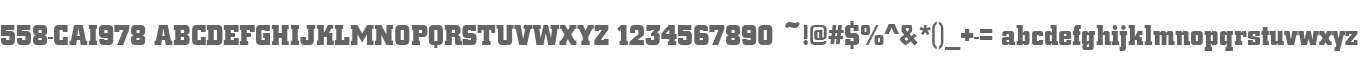 558-CAI978