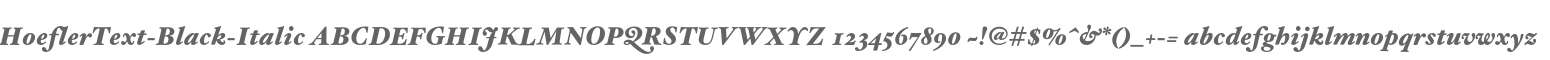 HoeflerText-Black-Italic