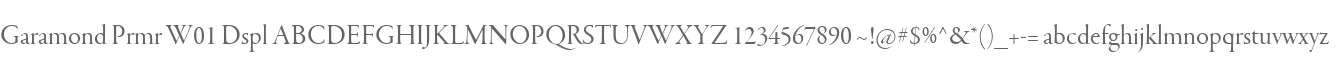 Garamond Prmr W01 Dspl