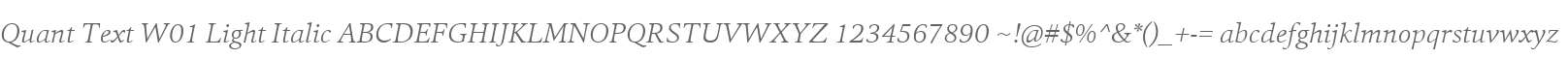 Quant Text W01 Light Italic