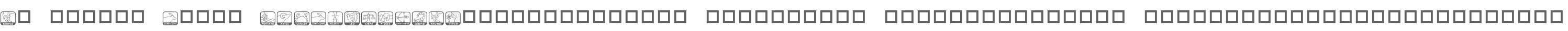 KR Zodiac Dings