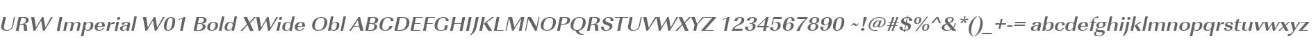 URW Imperial W01 Bold XWide Obl