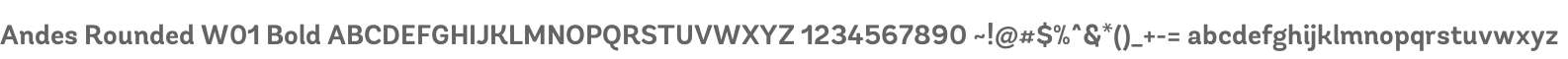 Andes Rounded W01 Bold