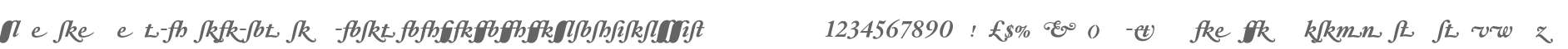 HoeflerText-Bold-Italic-Alt