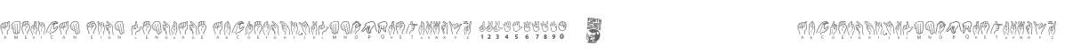American Sign Lenguage