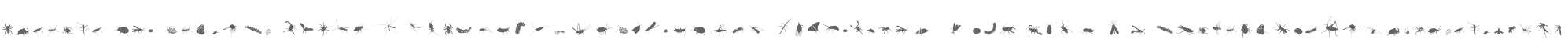 Insects W95 Regular