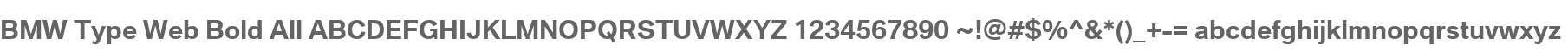 BMW Type Web Bold All
