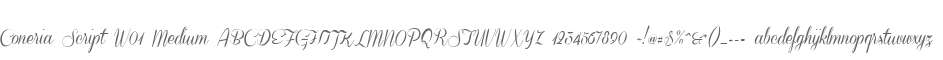 Coneria Script W01 Medium