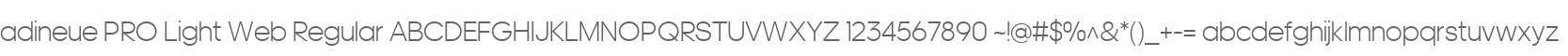 adineue PRO Light Web Regular