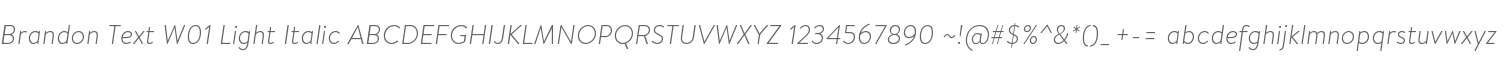 Brandon Text W01 Light Italic