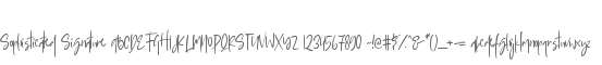Sophisticated Signature