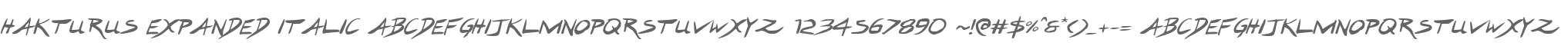 Hakturus Expanded Italic