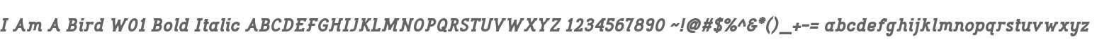 I Am A Bird W01 Bold Italic