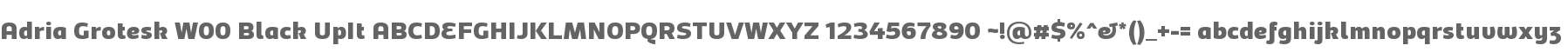 Adria Grotesk W00 Black UpIt