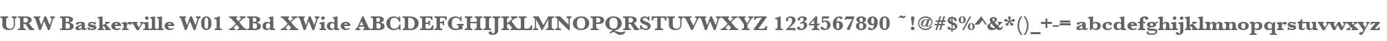 URW Baskerville W01 XBd XWide