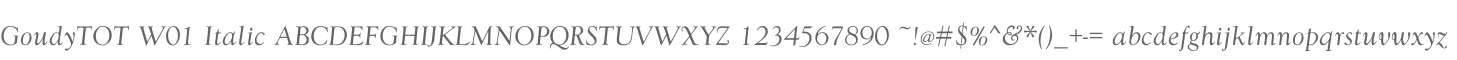 GoudyTOT W01 Italic