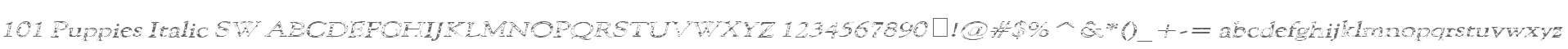 101 Puppies Italic SW