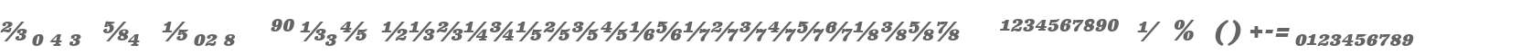 Clarendon Text Fractions W90 BdIt