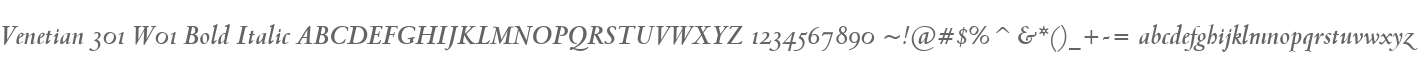 Venetian 301 W01 Bold Italic
