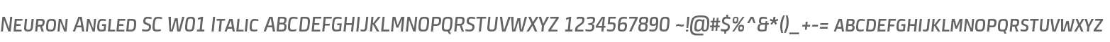Neuron Angled SC W01 Italic