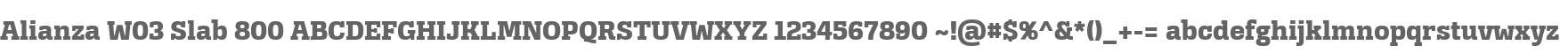 Alianza W03 Slab 800