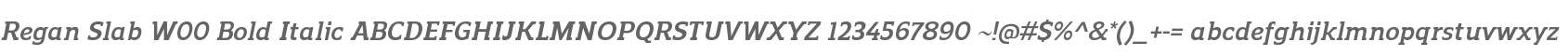Regan Slab W00 Bold Italic