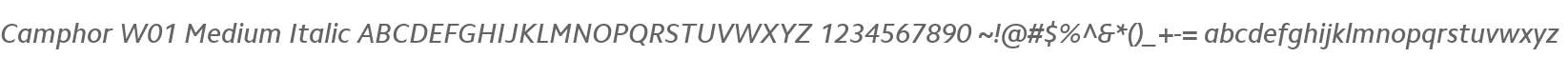 Camphor W01 Medium Italic