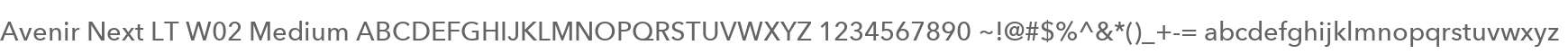 Avenir Next LT W02 Medium