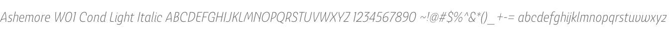 Ashemore W01 Cond Light Italic