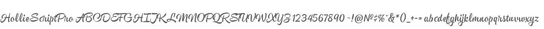 HollieScriptPro