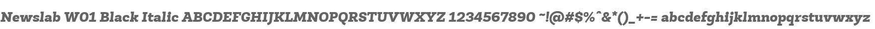 Newslab W01 Black Italic